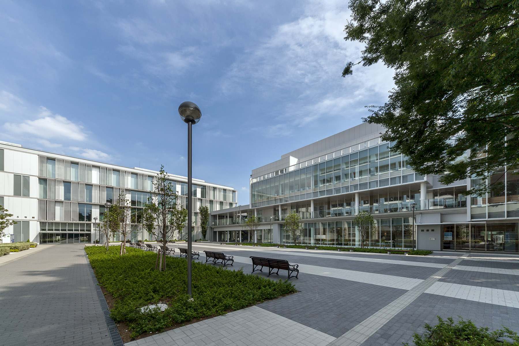 東京 経済 大学 国分寺 キャンパス